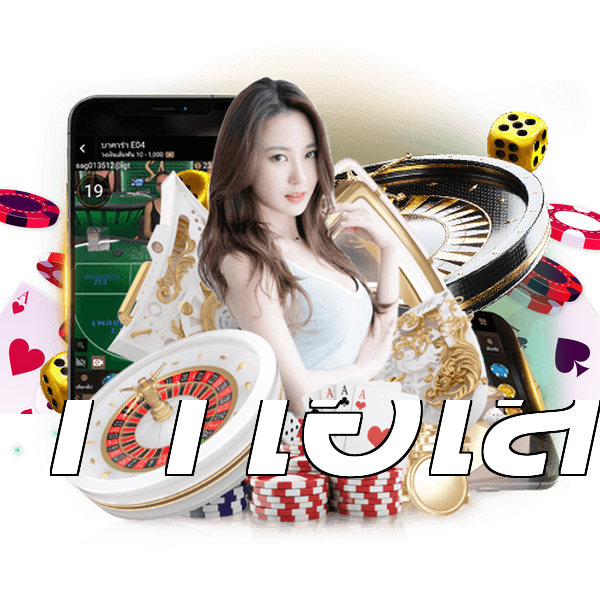 11ไฮโล